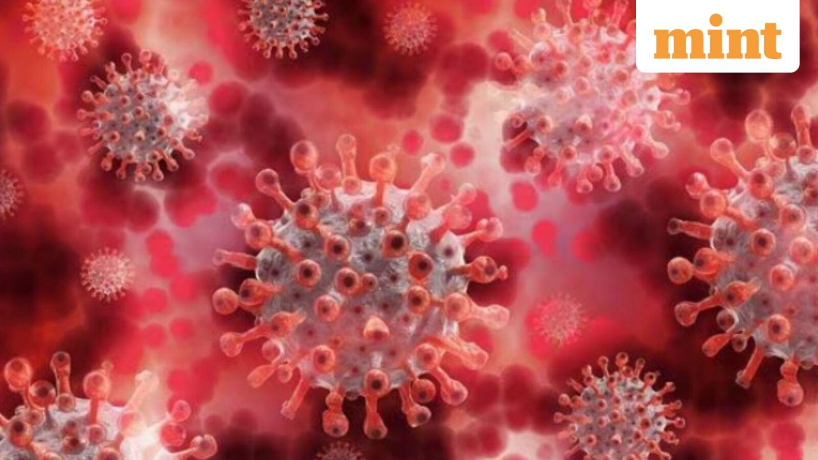 Chandipura virus outbreak spreads across Gujarat and Rajasthan, killing children fast